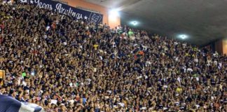 Azulinos confirmam maior público na Série C Fenômeno Azul