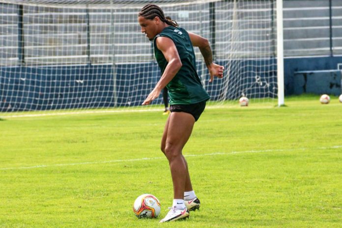 Felipe Gedoz Felipe Gedoz