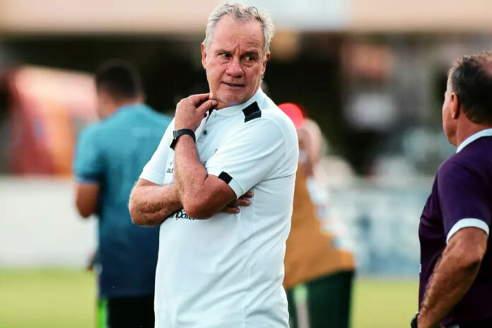 Paulo Bonamigo Paulo Bonamigo