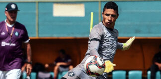 Paulo Bonamigo e Vinícius