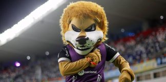 Leão Malino no Mangueirão – Foto: Tarso Sarraf (O Liberal)