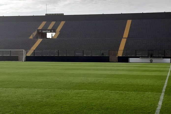 Baenão – Foto: Divulgação (Chaves Remista)