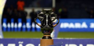 Parazão – Foto: Wagner Santana (Diário do Pará)