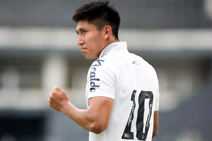 Miguelito – Foto: Pedro Ernesto Guerra Azevedo (Santos-SP)