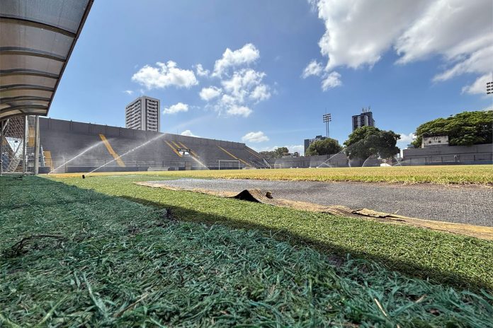 Baenão – Foto: Samara Miranda (Clube do Remo) Baenão – Foto: Samara Miranda (Clube do Remo)