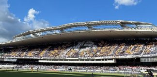 Fenômeno Azul no Mangueirão – Foto: Divulgação (Clube do Remo)