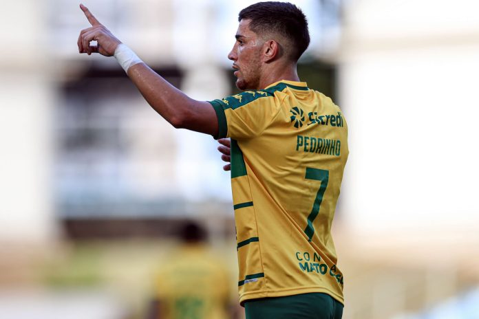 Pedrinho – Foto: Divulgação (Cuiabá-MT)