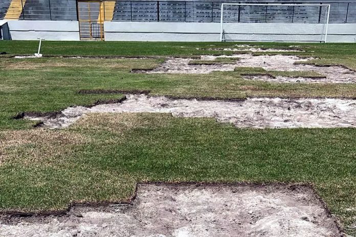 Baenão – Foto: Marcos Braz (Clube do Remo)