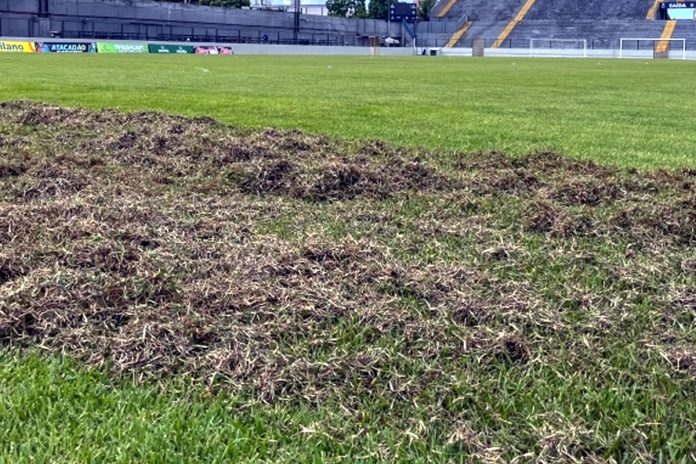 Baenão – Foto: Divulgação (Clube do Remo)