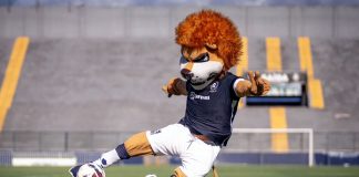 Remo estreia nova camisa na Série A com homenagem a Belém Leão Malino – Foto: Divulgação (Clube do Remo)