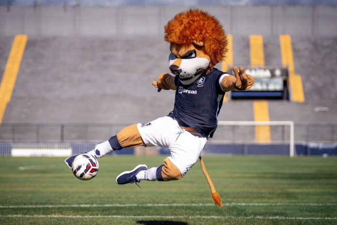 Leão Malino – Foto: Divulgação (Clube do Remo)