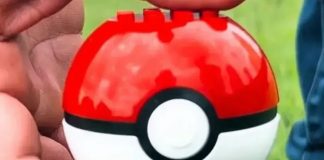 Pokébola – Foto: Reprodução (Clube do Remo)