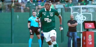 Jajá – Foto: Rosiron Rodrigues (Goiás-GO)