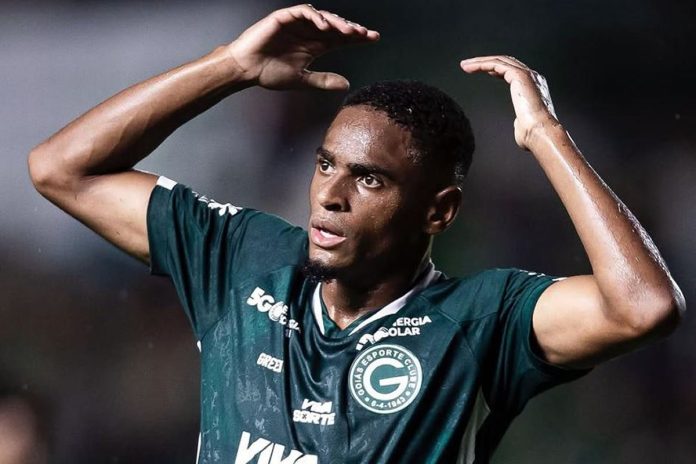 Jajá – Foto: Rosiron Rodrigues (Goiás-GO)