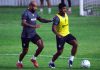 Leão recebe o São Paulo-SP no último jogo antes da pausa para a Copa do Mundo Patrick e Jaderson – Foto: Samara Miranda (Clube do Remo)