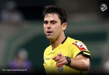 Flávio Rodrigues de Souza (SP) – Foto: Cesar Greco (Palmeiras-SP)