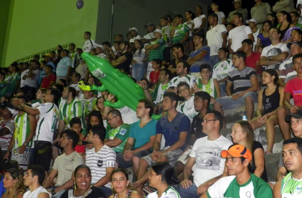 Arena Verde