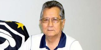 Pedro Minowa