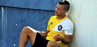 Levy