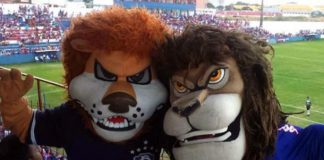 Mascotes