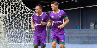 Fernandinho e Levy