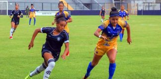 Futebol Feminino