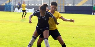 Futebol Feminino