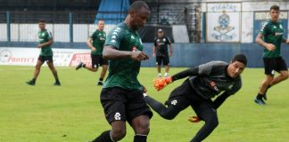 Mimica e Vinícius