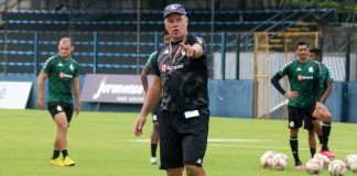 Paulo Bonamigo
