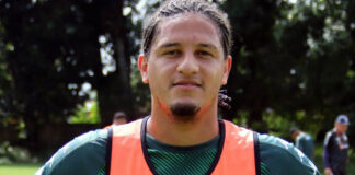 Felipe Gedoz