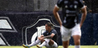 Felipe Gedoz
