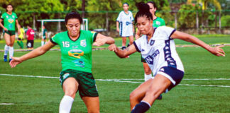 Futebol Feminino