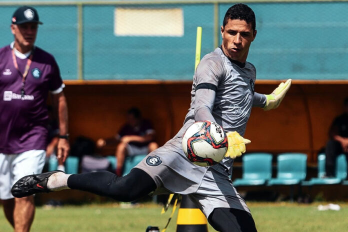 Paulo Bonamigo e Vinícius