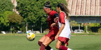 Futebol Feminino