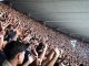 Fenômeno Azul no Mangueirão – Foto: Felipe Sacramento (Clube do Remo)