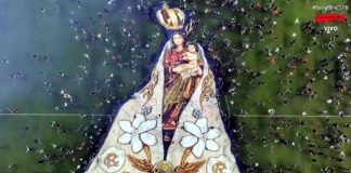 Remo celebra acesso e leva imagem de Nossa Senhora de Nazaré ao Mangueirão Remo 3×1 Goiás-GO – Foto: Reprodução (ESPN)