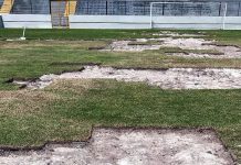 Remo inicia troca de partes do gramado do Baenão visando a Série A Baenão – Foto: Marcos Braz (Clube do Remo)