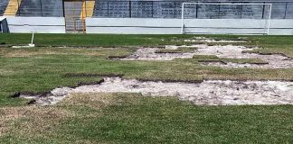 Remo inicia troca de partes do gramado do Baenão visando a Série A Baenão – Foto: Marcos Braz (Clube do Remo)