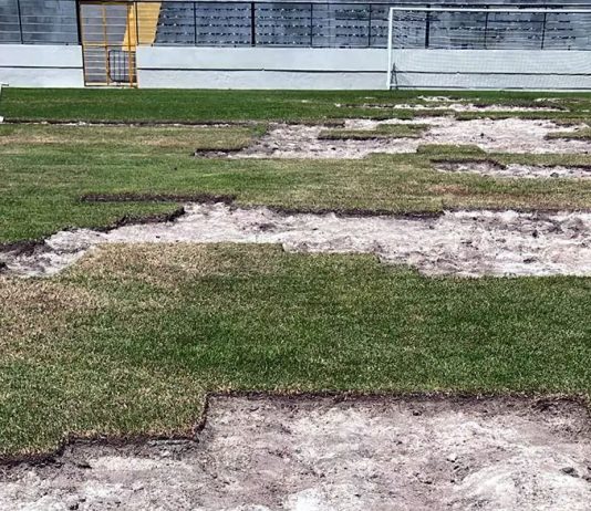 Remo inicia troca de partes do gramado do Baenão visando a Série A Baenão – Foto: Marcos Braz (Clube do Remo)