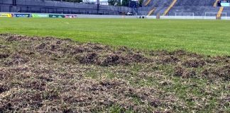 Baenão – Foto: Divulgação (Clube do Remo)