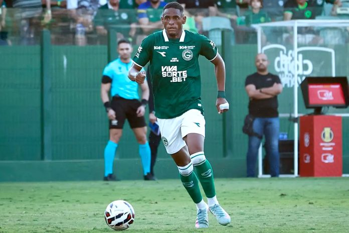 Jajá – Foto: Rosiron Rodrigues (Goiás-GO)